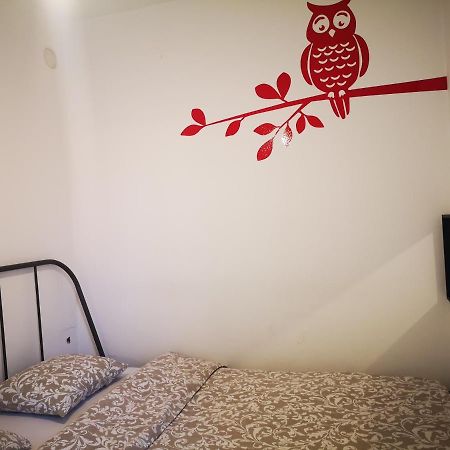 Filinhome Teleckog Novi Sad Esterno foto